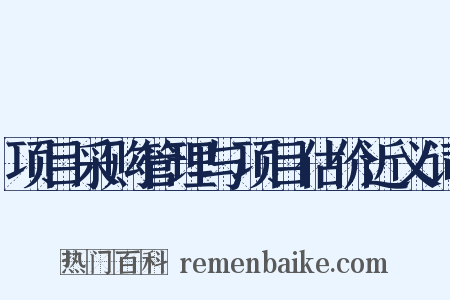 项目采购管理与项目估价近义词是什么意思的图片